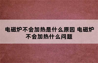 电磁炉不会加热是什么原因 电磁炉不会加热什么问题